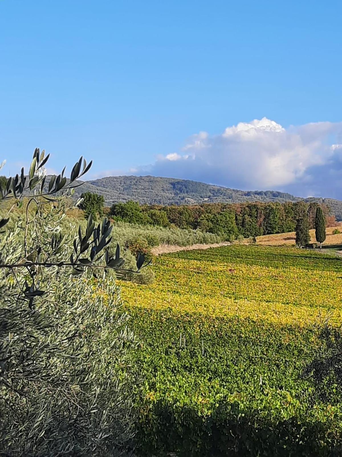 Agriturismo Circugnano Grassina Luaran gambar