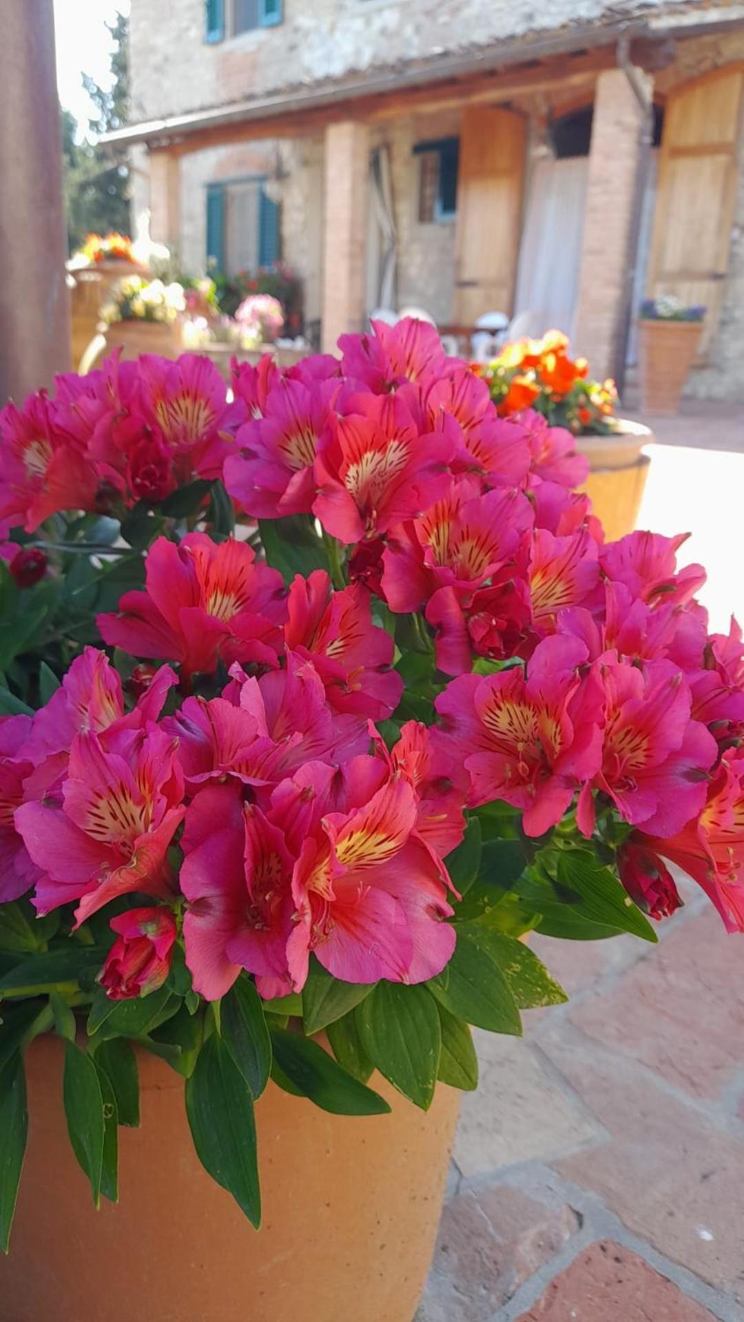 Agriturismo Circugnano Grassina Luaran gambar