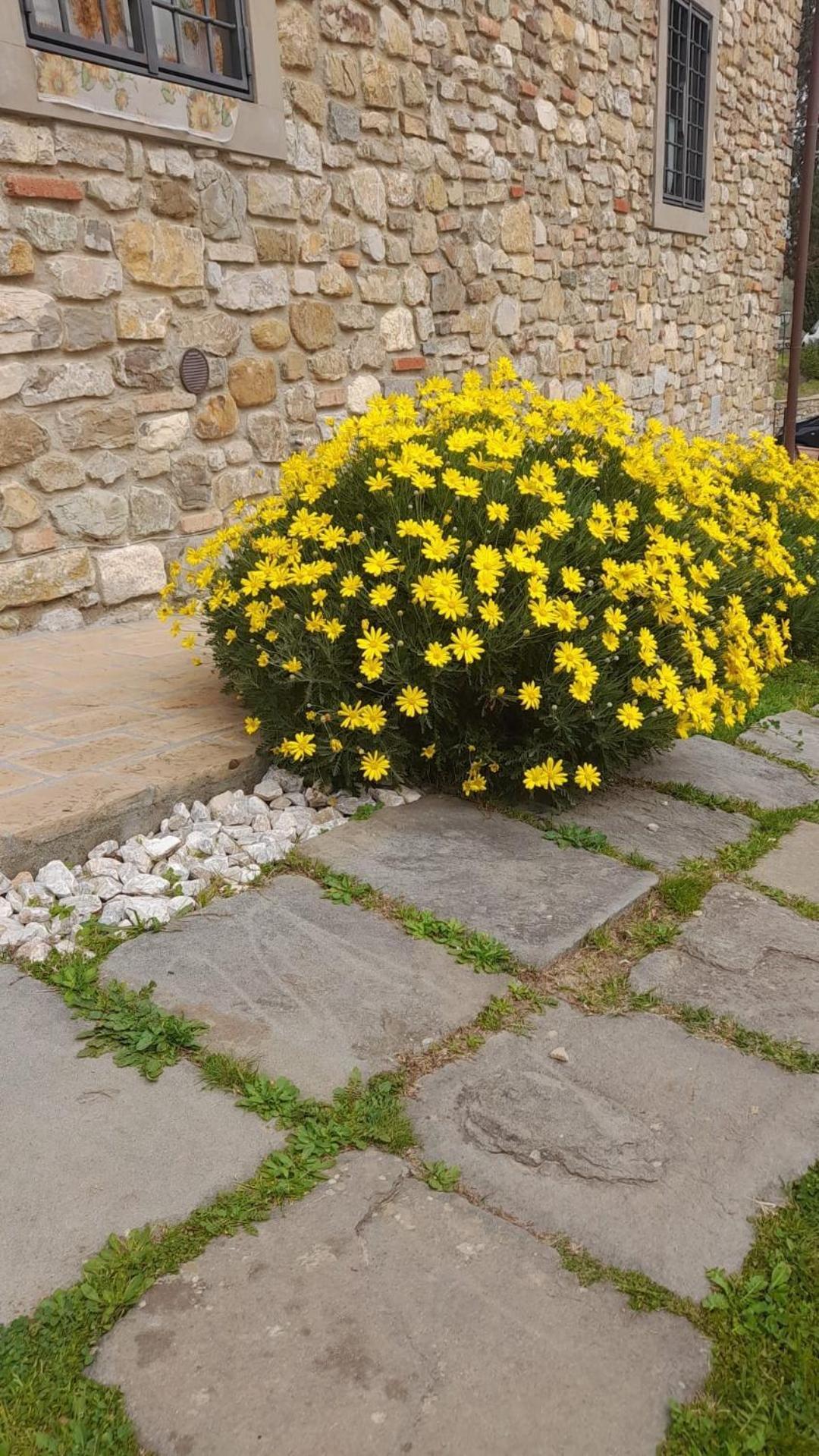 Agriturismo Circugnano Grassina Luaran gambar