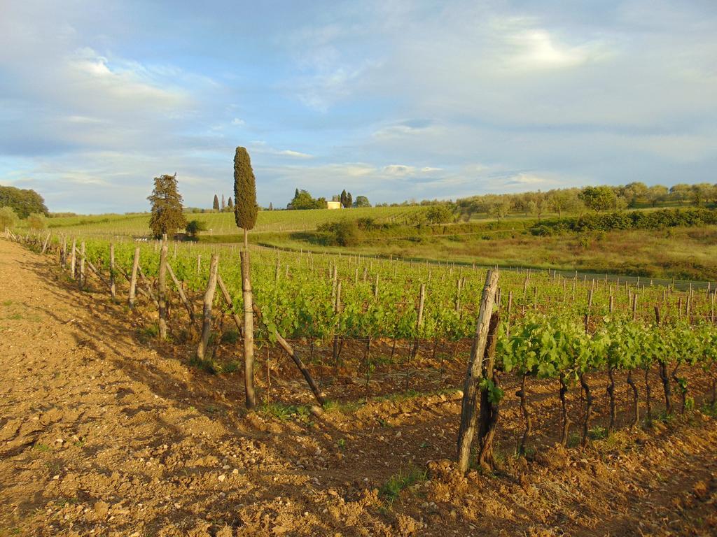 Agriturismo Circugnano Grassina Luaran gambar