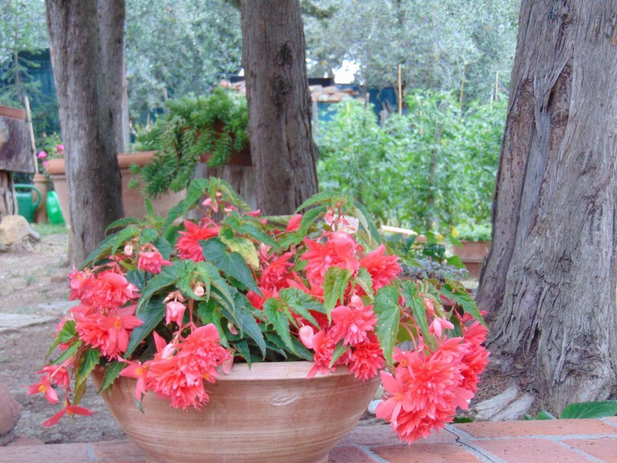 Agriturismo Circugnano Grassina Luaran gambar